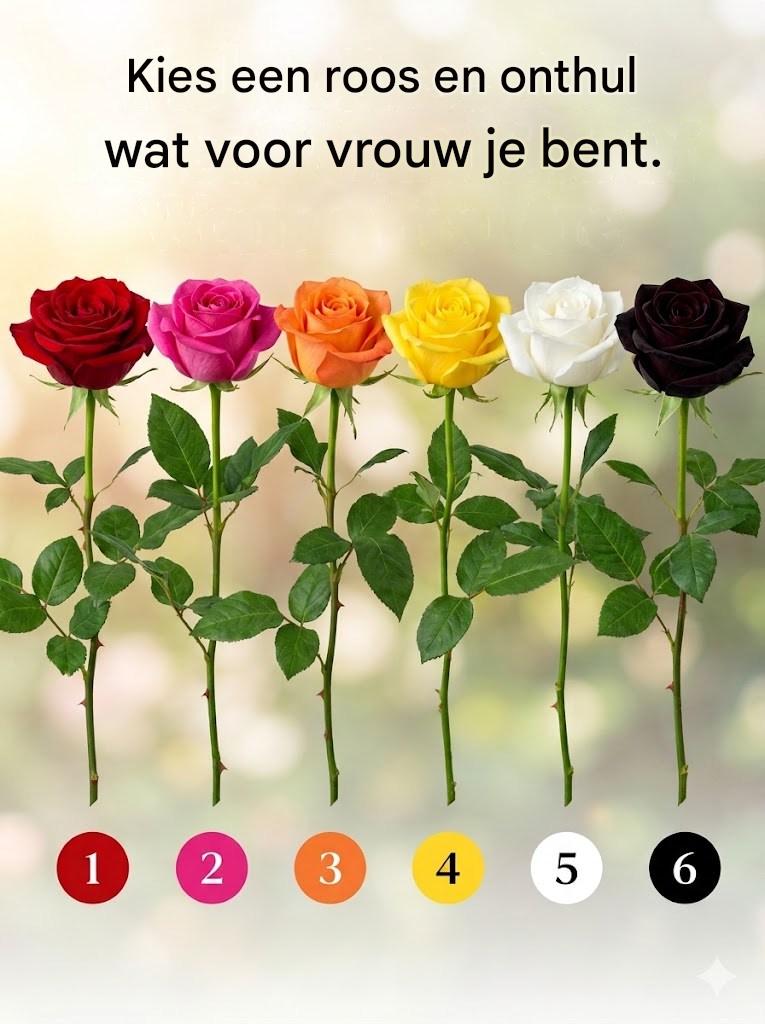 Kies een roos en onthul wat voor vrouw je bent.