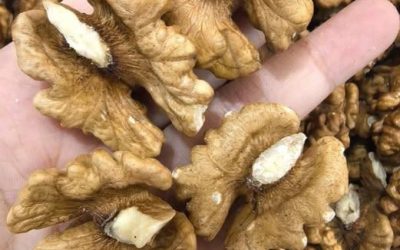 Artsen onthullen dat het eten van walnoten leidt tot