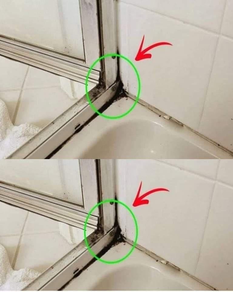 De snelste manier om siliconenschimmel in de douche te verwijderen