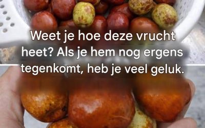 Weet je hoe deze vrucht heet? Kom je hem nog tegen? Zo ja, dan heb je geluk. Ik zal je hier uitleggen wat het is en wat de buitengewone voordelen ervan zijn.