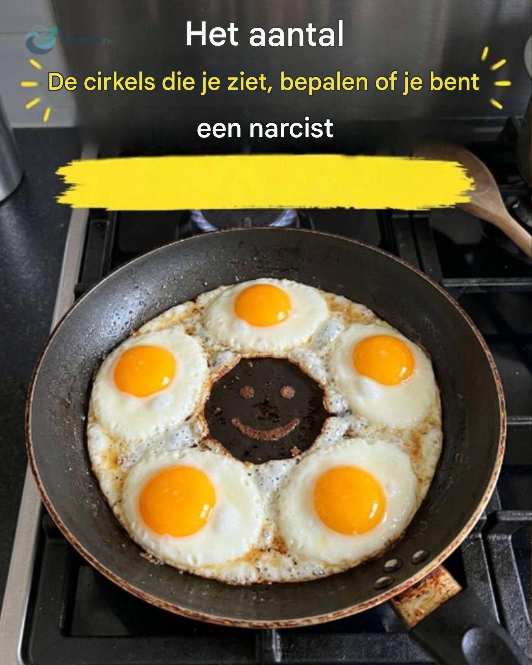 Hoeveel cirkels zie je? Een leuke visuele puzzel die je concentratie op de proef stelt.