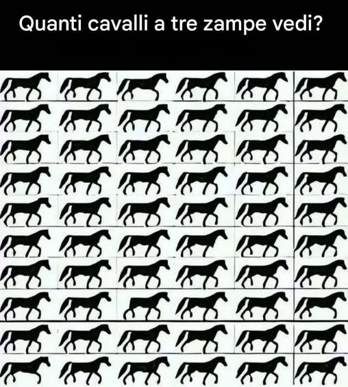 Hoeveel paarden met drie benen zie je?