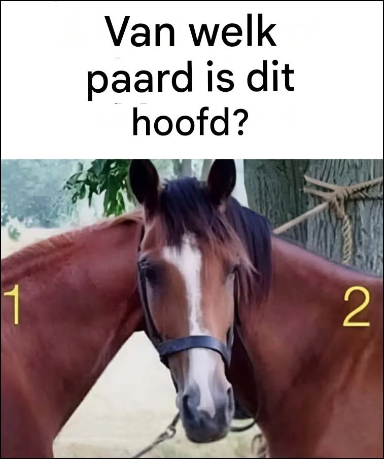Van wie is dit paardenhoofd?