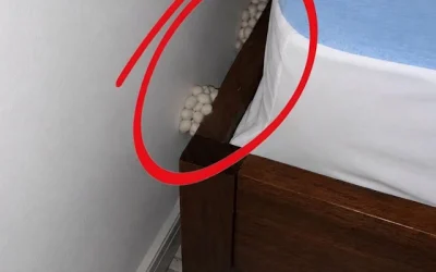 Ik kwam uitgeput thuis, hopend op een rustige nacht, maar één detail deed me beseffen dat er iets niet klopte.