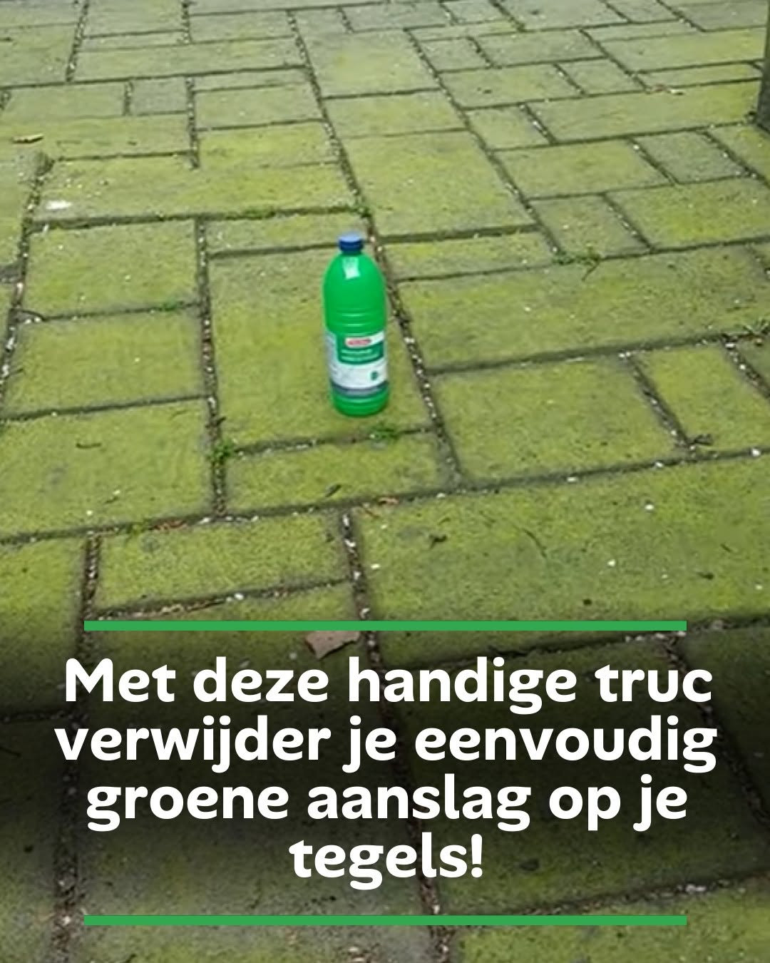 Met deze handige truc verwijder je eenvoudig groene aanslag op je tegels!