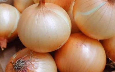 Artsen onthullen dat het eten van uien de oorzaak is van… Lees meer