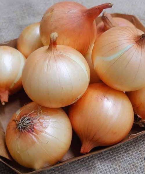 Artsen onthullen dat het eten van uien de oorzaak is van… Lees meer