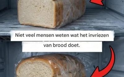Praktische handleiding voor het correct invriezen van brood