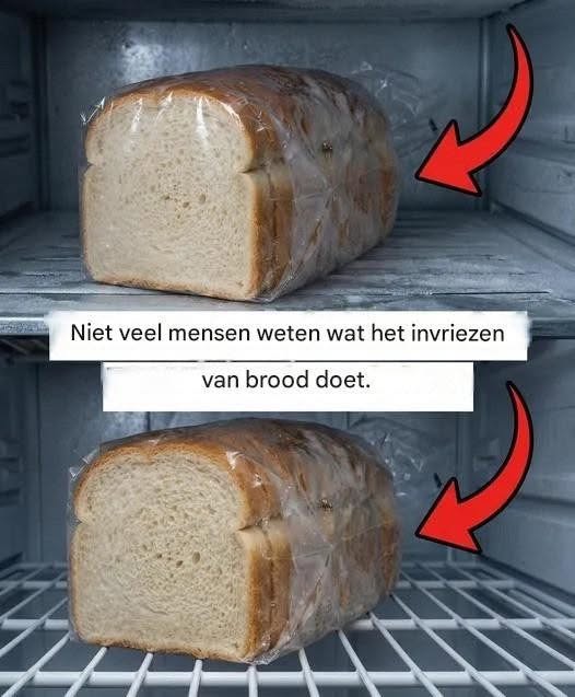 Praktische handleiding voor het correct invriezen van brood