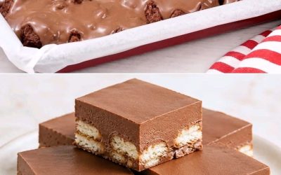 Langevingerkoekjes 🤎 Romig en fris, je maakt ze met maar 4 simpele ingrediënten! 😍 Je serveert een koud dessert waar zowel volwassenen als kinderen van zullen genieten 👇