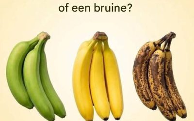 Groen, geel of bruin… welke banaan is nou echt het gezondst? Bananen zijn een van ‘s werelds meest geliefde vruchten, en terecht. Ze zijn goedkoop, makkelijk mee te nemen, van nature zoet en zitten boordevol essentiële voedingsstoffen.