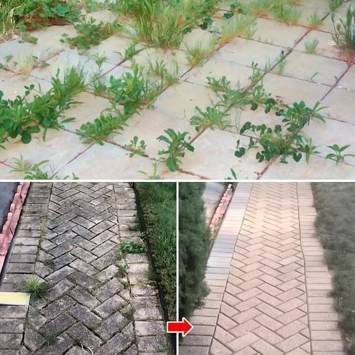 Hoe je onkruid op een natuurlijke manier en voorgoed kunt verwijderen.