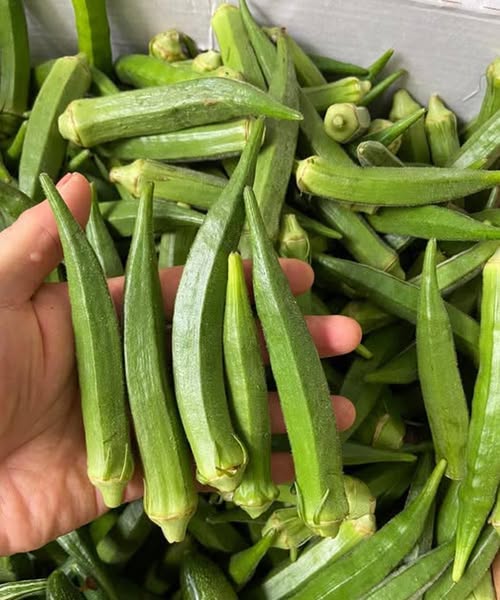 Is okra goed voor mensen met diabetes? Voordelen, risico’s en hoe je het op de juiste manier eet.