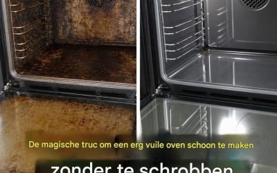 Je hebt je oven je hele leven al verkeerd schoongemaakt. Hij glanst zo!