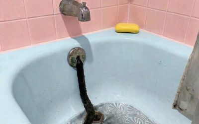 Ik kwam terug van vakantie en vond een ‘slang’ in het bad – de waarheid was nog schokkender.
