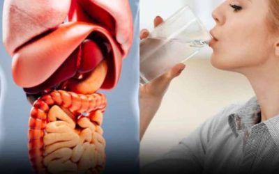Is het goed voor je om ‘s ochtends vroeg water te drinken?