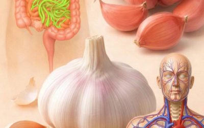 I medici spiegano cosa succede realmente se si mangia aglio crudo ogni giorno.