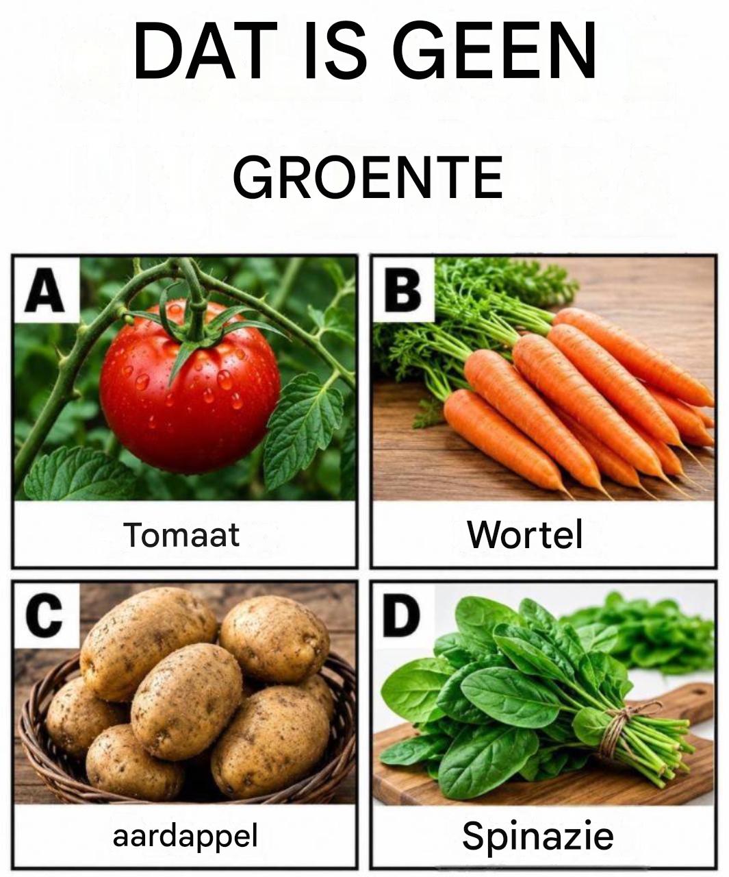 Kun je deze lastige vragen beantwoorden?