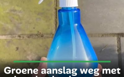 Groene aanslag weg met deze keukenkast-truc: dit giet je over je terras (nooit geweten!)