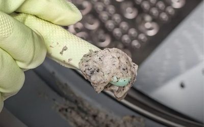 Vetluis in je wasmachine? Dit kun je er meteen tegen doen