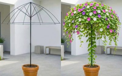 Hij toverde een kapotte paraplu om tot een bloemenparadijs: nu wil iedereen er een hebben.