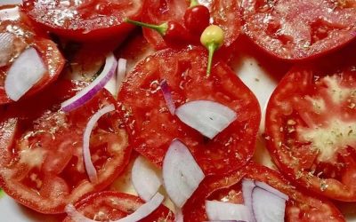 Wetenschappers onthullen dat het eten van tomaten de oorzaak is van… lees meer