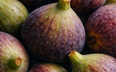 Vijgen zijn een heilzaam middel tegen rug-, wervelkolom- en kniepijn.