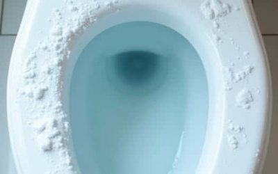 Een natuurlijke methode voor brandschone toiletten.