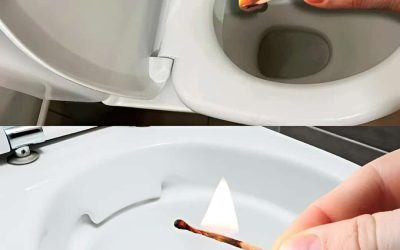 Een weinig bekende tip voor frisse en aangename toiletten.