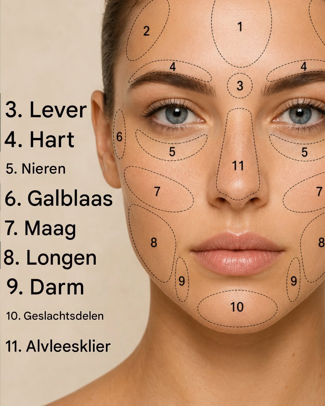 Door druk uit te oefenen op deze punten in het gezicht, kunnen tientallen pijnen worden verlicht.Door druk uit te oefenen op deze punten in het gezicht, kunnen tientallen pijnen worden verlicht.