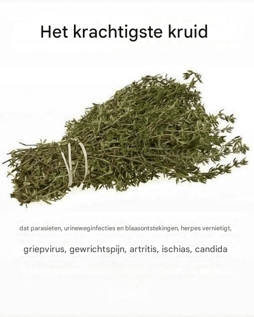 Recept voor heerlijke, met room gevulde sigaren, suikervrij, zuivelvrij, glutenvrij en gegarandeerd een succes bij fijnproevers.