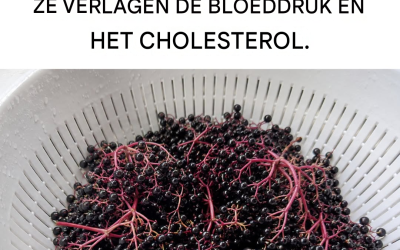 Alle voordelen en eigenschappen van vlierbessen