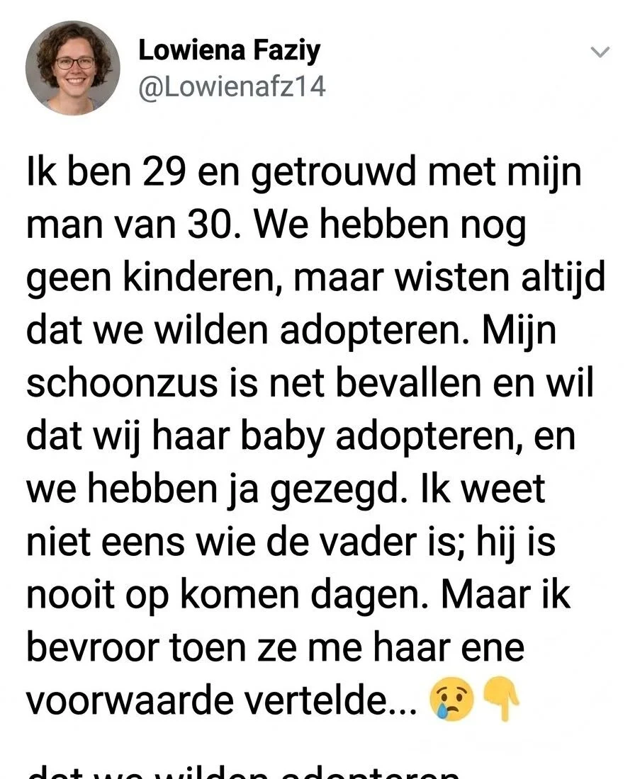 De schokkende voorwaarde: Waarom de adoptie van mijn schoonzus’ baby een bittere familiestrijd werd