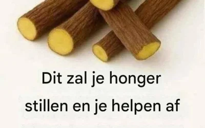 Effectief en Natuurlijk Afvallen: Jouw Gids naar Gezond Gewichtsverlies