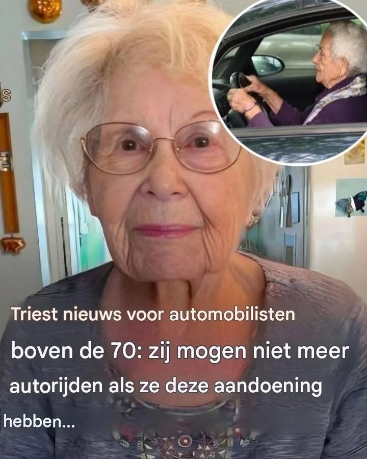 Nieuwe Europese Regels voor Rijbewijzen: Wat je Moet Weten