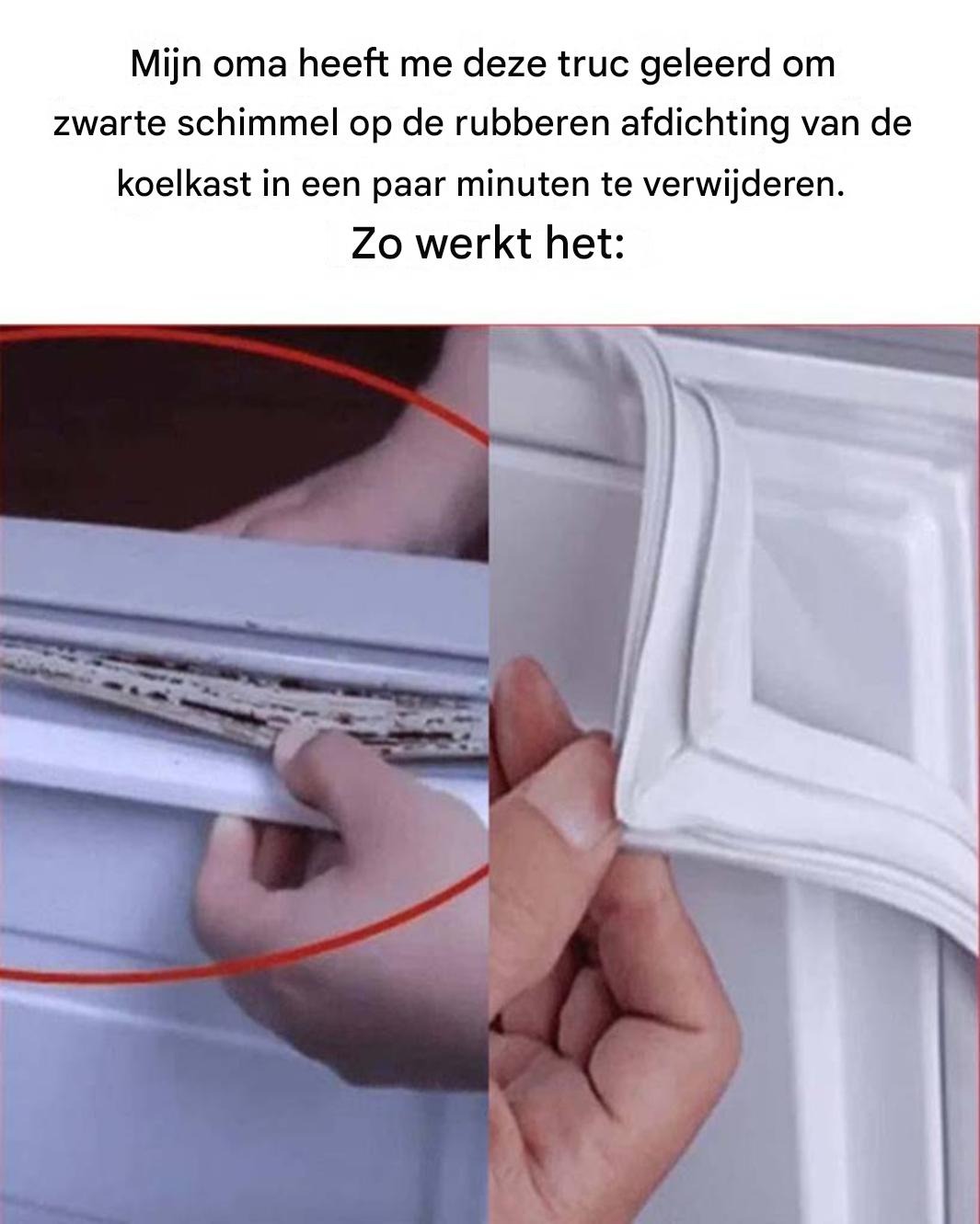 Mijn oma heeft me deze truc geleerd om zwarte schimmel op de rubberen afdichtingen van een koelkast in slechts enkele minuten te verwijderen.