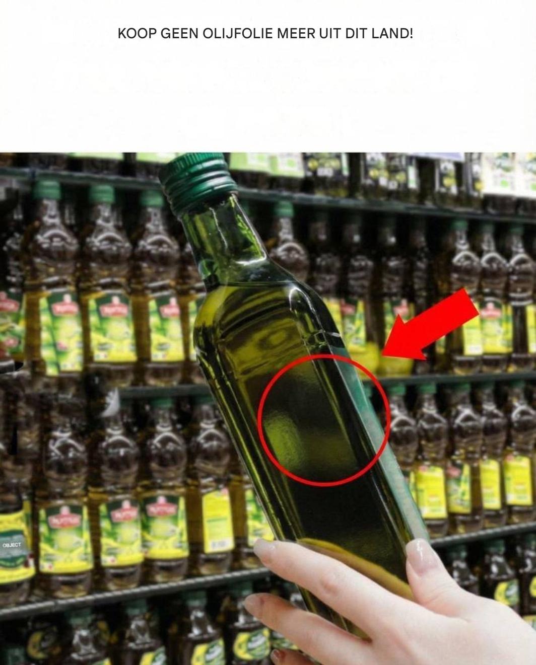 80% van de olijfolie is nep! Zit die van jou er ook bij?