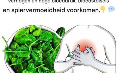17 voedingsmiddelen die de magnesiuminname verhogen en hoge bloeddruk, bloedstolsels en spiervermoeidheid voorkomen