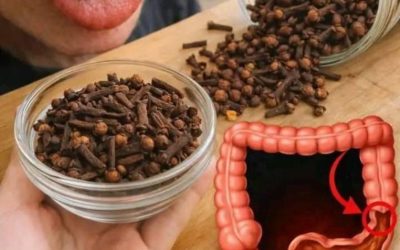 Dagelijks kruidnagel kauwen: een kleine gewoonte met grote voordelen voor je lichaam