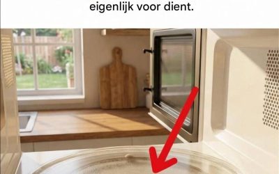 Ik heb vandaag iets verrassends geleerd: dat “ringetje” in je magnetron is wel degelijk belangrijk.