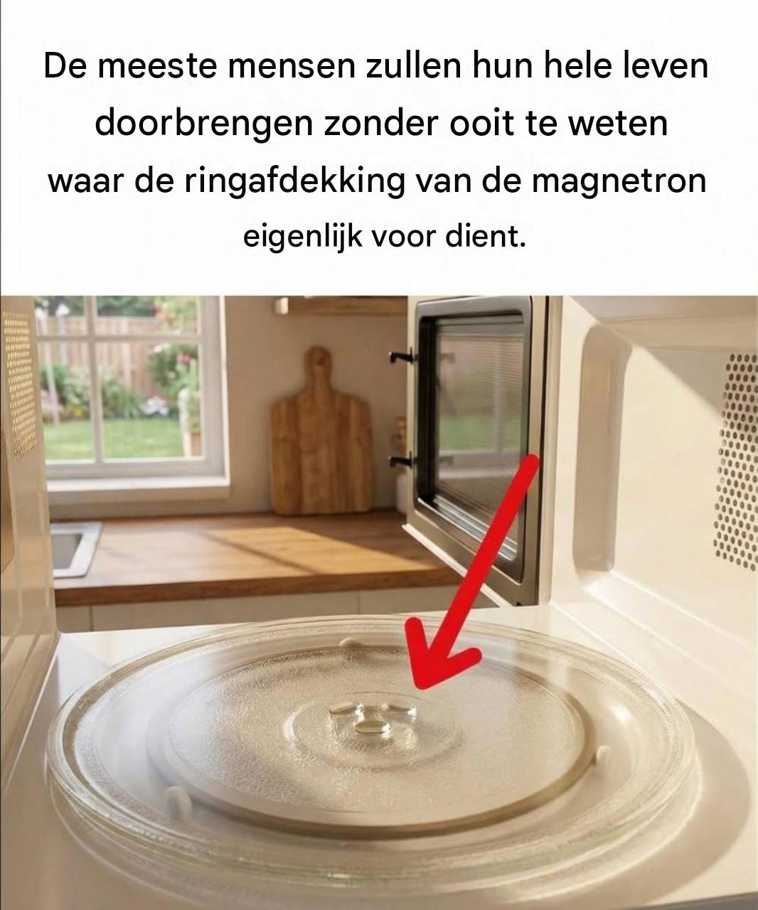 Ik heb vandaag iets verrassends geleerd: dat “ringetje” in je magnetron is wel degelijk belangrijk.