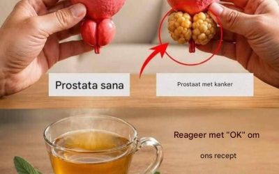 Groet de natuurlijke prostaat: de mist van de amarant en de ortica voor uw leven.