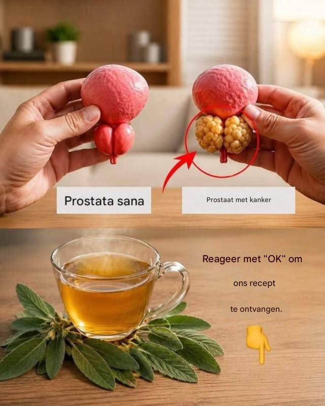 Groet de natuurlijke prostaat: de mist van de amarant en de ortica voor uw leven.