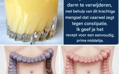 Verwijder alle vastzittende ontlasting die al lange tijd in je lichaam zit. Dit helpt zelfs tegen kauwgom die je op de kleuterschool hebt gegeten. Met dit krachtige mengsel zeg je vaarwel tegen verstopping. Ik geef je het recept voor een simpele “OK”.