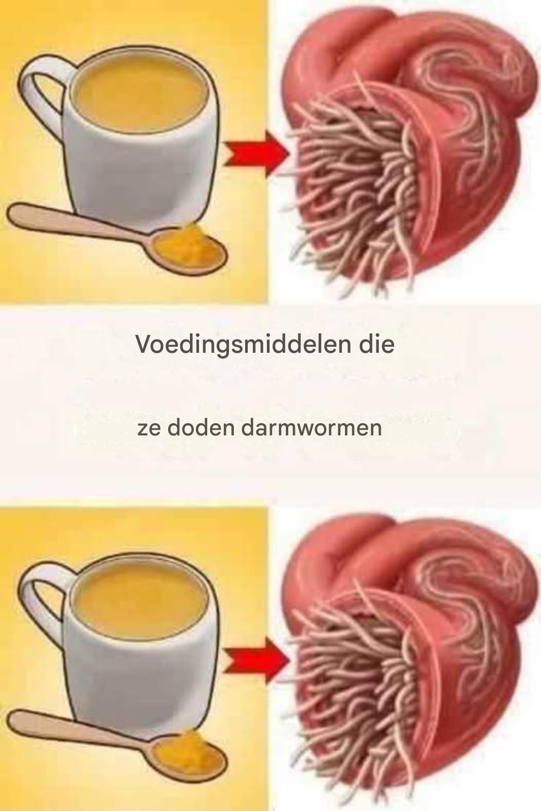 7 voedsel en uccidono en vermi intestinali