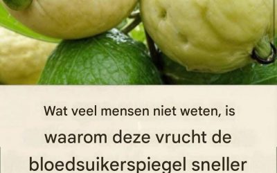 Scopri en profiteren van de mist van guave