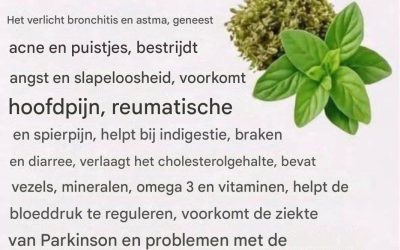 Wist je dat oregano… Lees meer