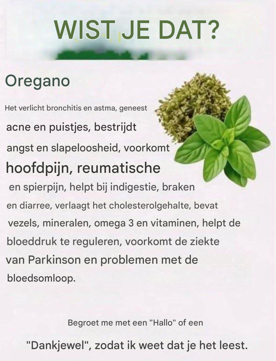 Wist je dat oregano… Lees meer