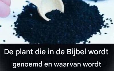 Een plant die volgens de Bijbel alle kwalen geneest.