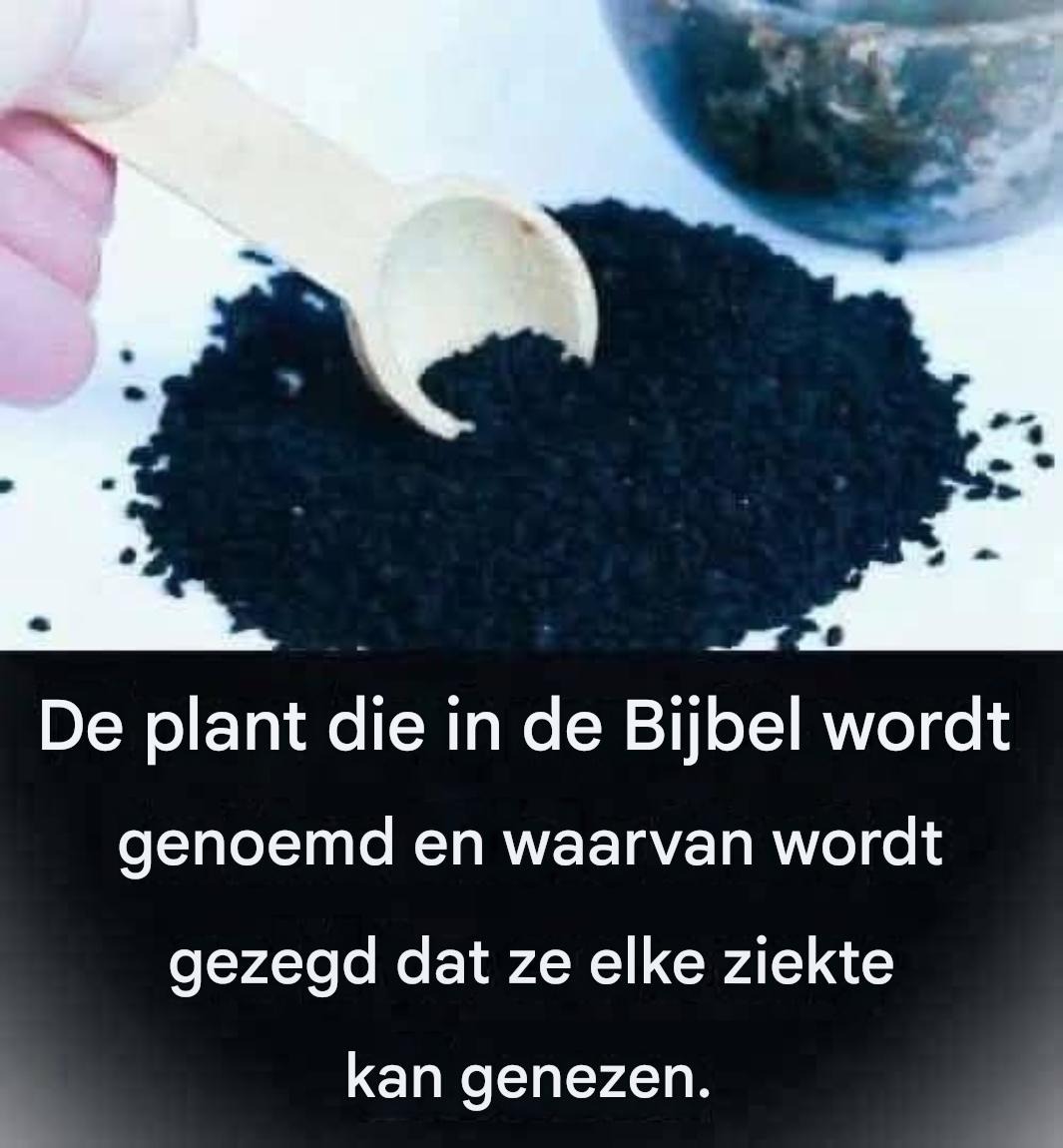 Een plant die volgens de Bijbel alle kwalen geneest.